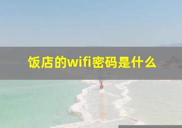 饭店的wifi密码是什么