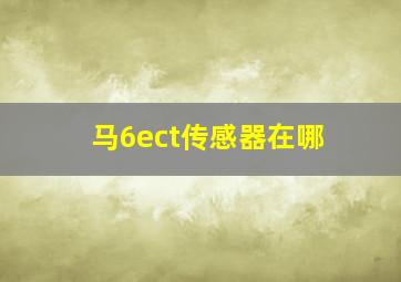 马6ect传感器在哪