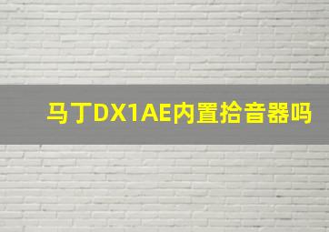 马丁DX1AE内置拾音器吗