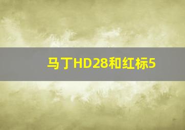 马丁HD28和红标5