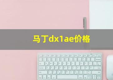 马丁dx1ae价格