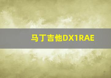 马丁吉他DX1RAE