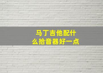 马丁吉他配什么拾音器好一点