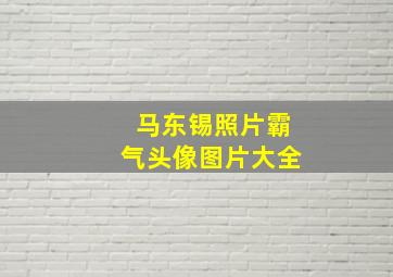 马东锡照片霸气头像图片大全