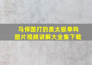 马保国打的是太极拳吗图片视频讲解大全集下载