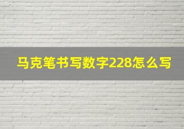 马克笔书写数字228怎么写