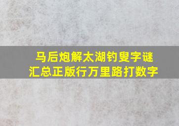 马后炮解太湖钓叟字谜汇总正版行万里路打数字