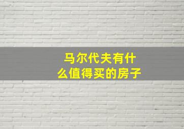 马尔代夫有什么值得买的房子