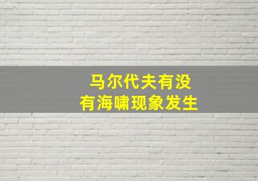 马尔代夫有没有海啸现象发生