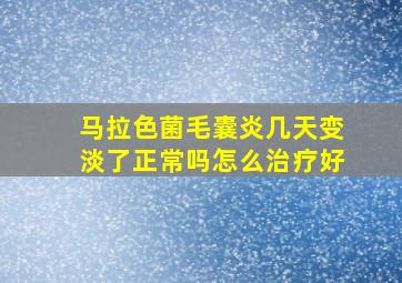 马拉色菌毛囊炎几天变淡了正常吗怎么治疗好