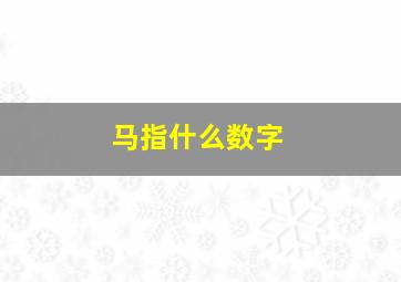 马指什么数字