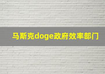 马斯克doge政府效率部门