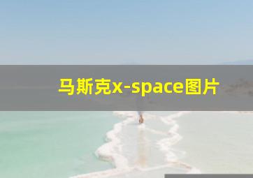 马斯克x-space图片