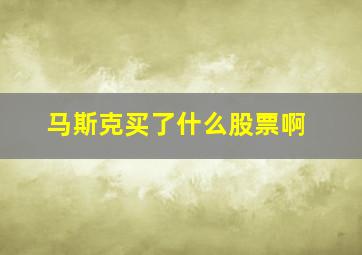 马斯克买了什么股票啊