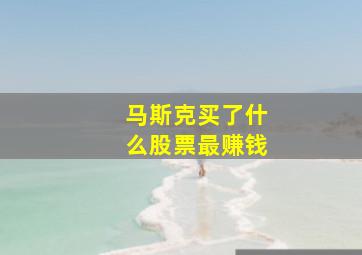 马斯克买了什么股票最赚钱