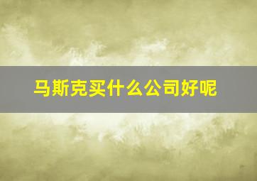 马斯克买什么公司好呢