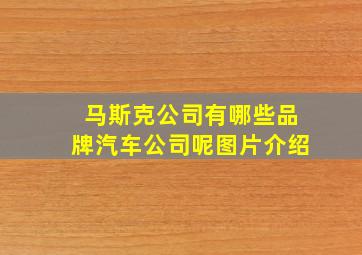 马斯克公司有哪些品牌汽车公司呢图片介绍