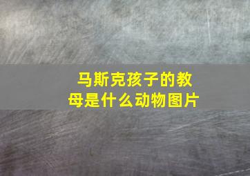 马斯克孩子的教母是什么动物图片