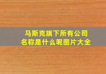 马斯克旗下所有公司名称是什么呢图片大全