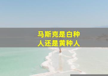 马斯克是白种人还是黄种人