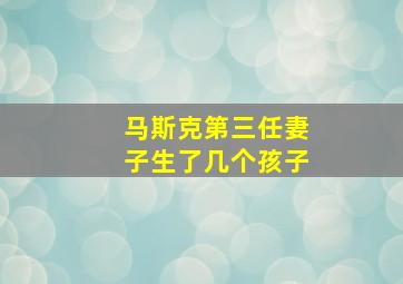 马斯克第三任妻子生了几个孩子