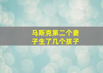 马斯克第二个妻子生了几个孩子