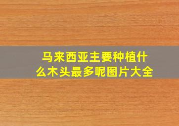 马来西亚主要种植什么木头最多呢图片大全