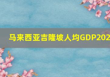 马来西亚吉隆坡人均GDP2023