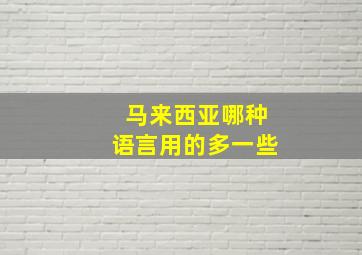 马来西亚哪种语言用的多一些