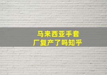 马来西亚手套厂复产了吗知乎