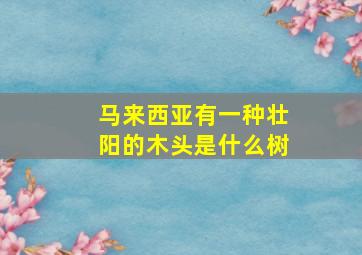 马来西亚有一种壮阳的木头是什么树