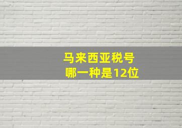 马来西亚税号哪一种是12位