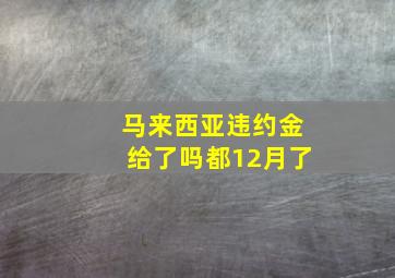 马来西亚违约金给了吗都12月了