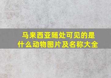 马来西亚随处可见的是什么动物图片及名称大全