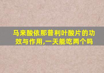 马来酸依那普利叶酸片的功效与作用,一天能吃两个吗