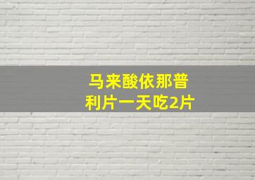 马来酸依那普利片一天吃2片