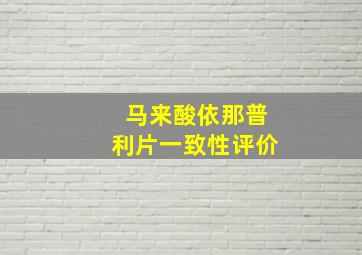 马来酸依那普利片一致性评价