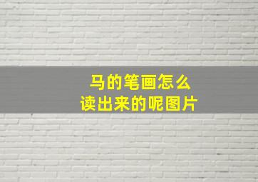 马的笔画怎么读出来的呢图片