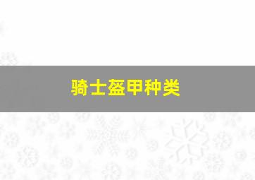 骑士盔甲种类