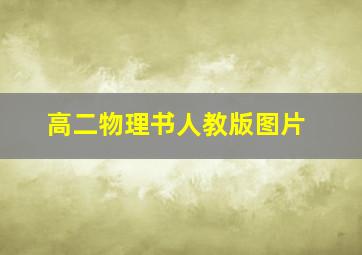 高二物理书人教版图片