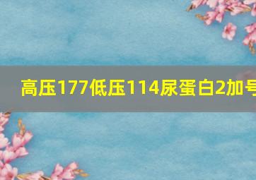 高压177低压114尿蛋白2加号