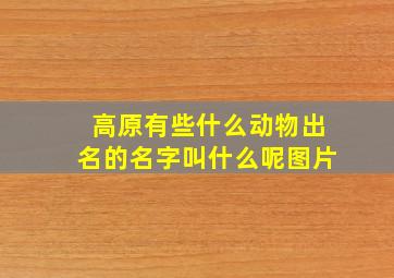 高原有些什么动物出名的名字叫什么呢图片