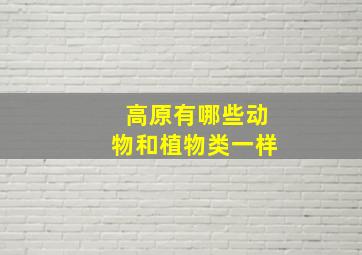 高原有哪些动物和植物类一样