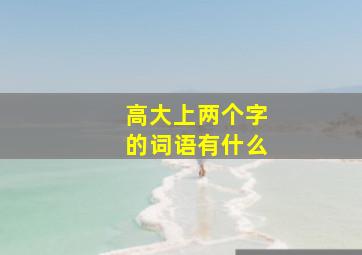 高大上两个字的词语有什么