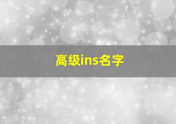 高级ins名字