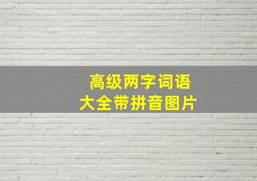 高级两字词语大全带拼音图片