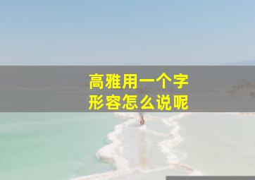 高雅用一个字形容怎么说呢