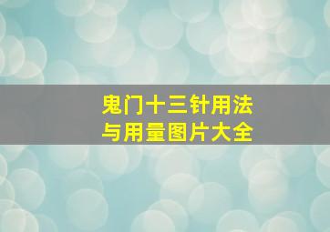 鬼门十三针用法与用量图片大全