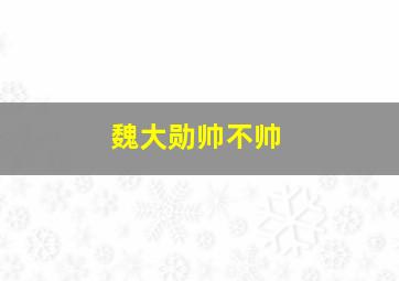 魏大勋帅不帅