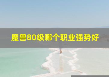 魔兽80级哪个职业强势好